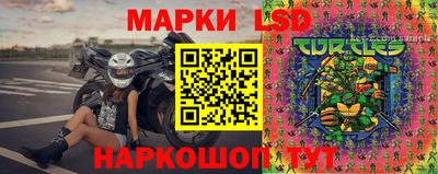 шишки Балашиха