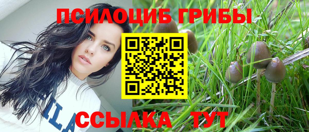 Псилоцибиновые грибы Psilocybe Грязи